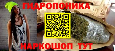 индика Ликино-Дулёво