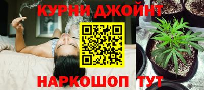 индика Ликино-Дулёво