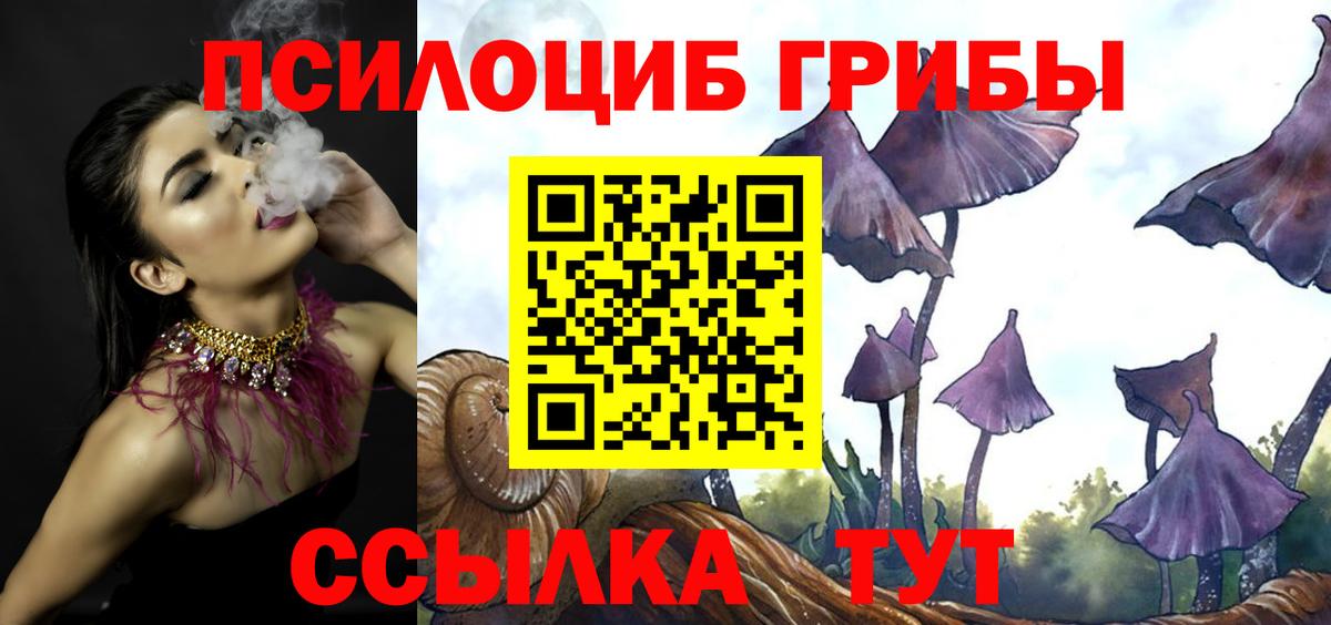 Псилоцибиновые грибы MAGIC MUSHROOMS  Вход с VPN  Дмитров 
